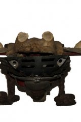 crapaudvolant